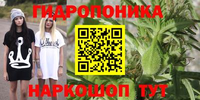 мдпв Севастополь