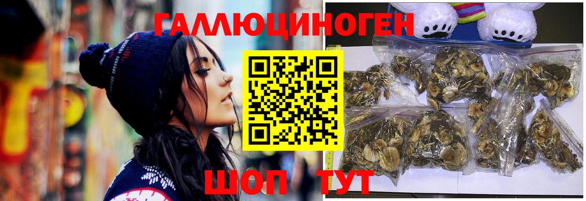 Асино  Галлюциногенные грибы мицелий  Вход с VPN 