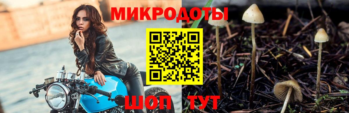 Галлюциногенные грибы MAGIC MUSHROOMS Асино