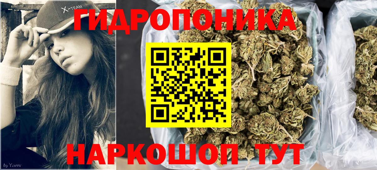 Марихуана Amnesia  Бошки Шишки LSD WEED  Асино  Вход с VPN  Шишки марихуана семена  Бошки марихуана ГИДРОПОН 